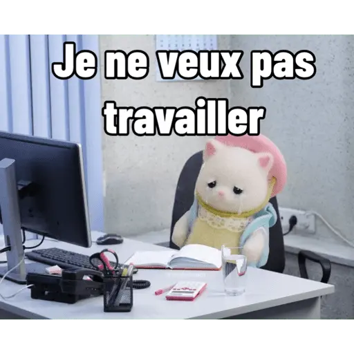 Ternurines en francés 4