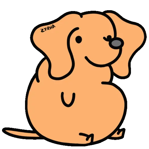 Perro Bachicha 5
