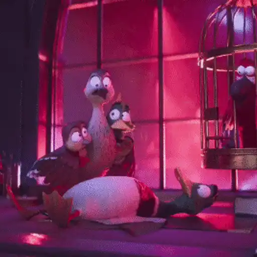 Migration 🦆💕1.1 Mov 9