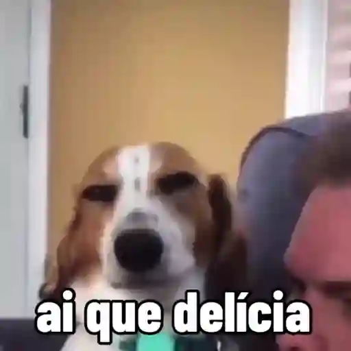 sapecagens - animadas 3
