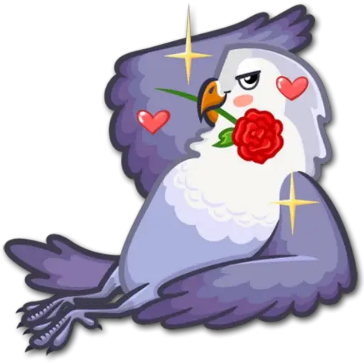 🐦Pajaros Lindos🐦  12