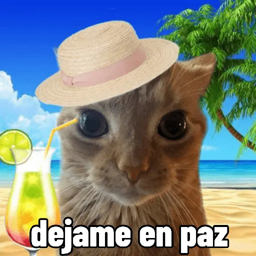 Michis con calor 🥵🥵 6