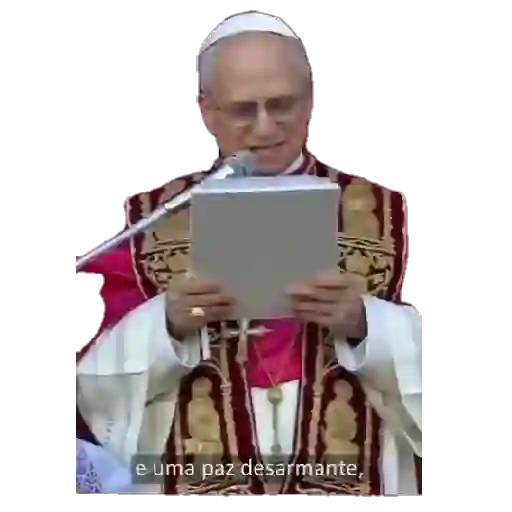 Papa león XIV 2