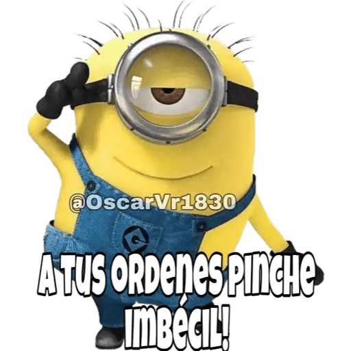@Oscar Vr1830 A TUS ORDENES PINCHE IMBECIL!