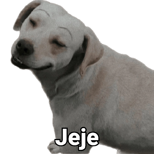 Waos - Perro con cejas🐶 6