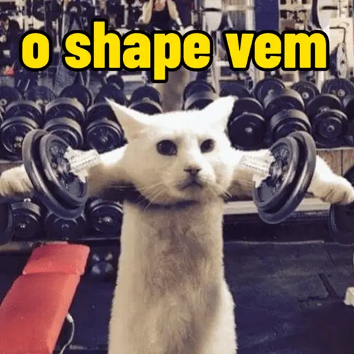 o shape vem