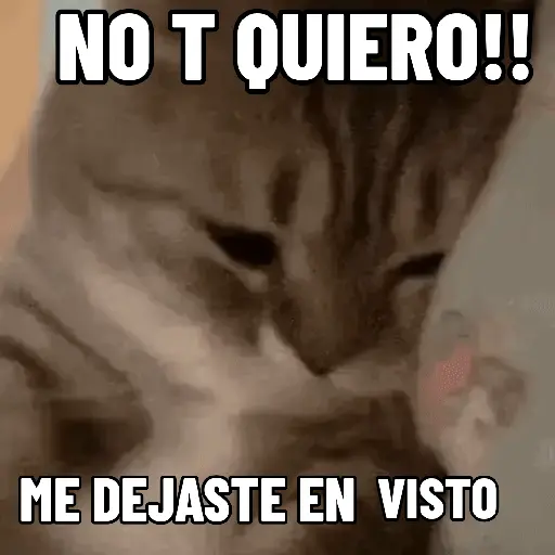 NO ME DEJES EN VISTO ✔️✔️😾 8