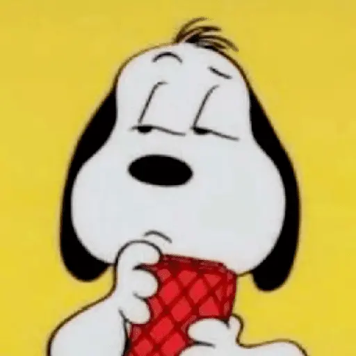 Memes do Snoopy 3
