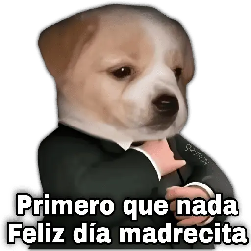 Día de la madre 2 🌺🪄👑 9