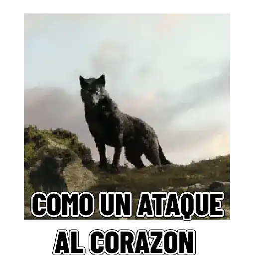 En modo de defensa estoy 🛡️ 4