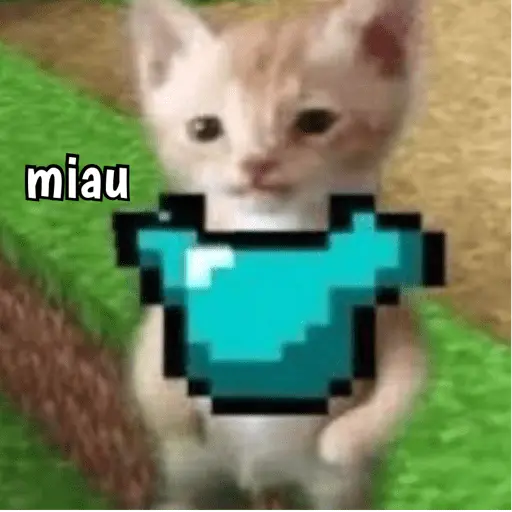 Minecraft random 👾 12