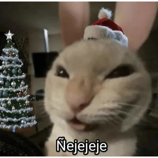 Monos navideños😜😙 3