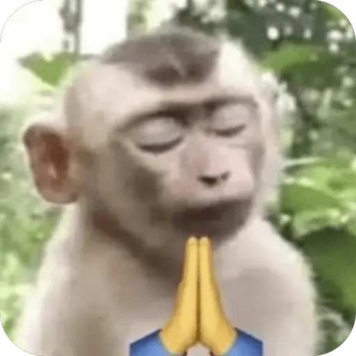 🐒 واکنش‌های میمون‌ها 🐒 13