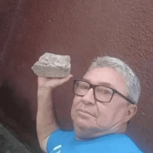 REACCIONES Shitpost 🐄🌍♻️2 3