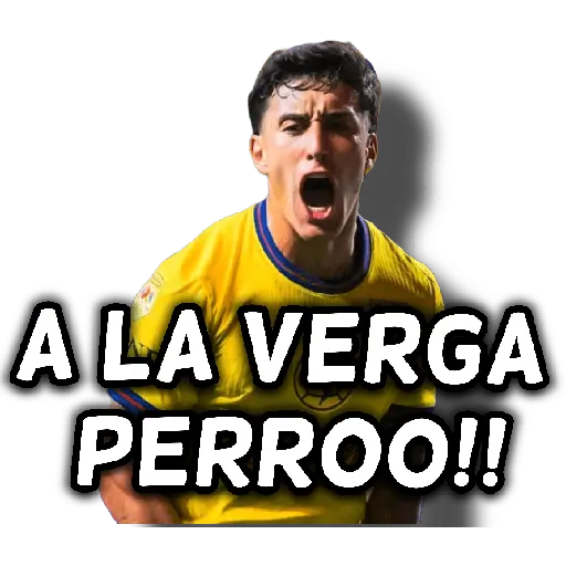 América 👑⚽ 29