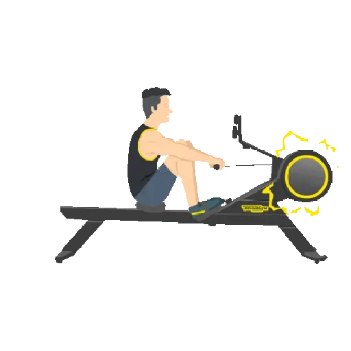 GYM TREINO ACADEMIA 2