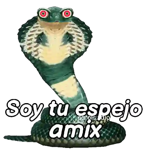 Animales Random pa contestar 💬 18