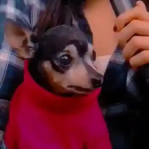 💥 Tiktok RAMDON 5 ✨🫧 4
