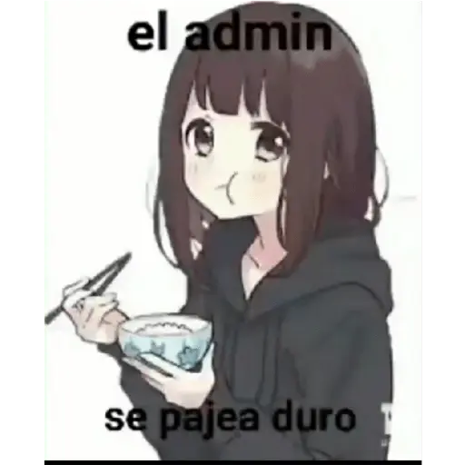 soy admin 18