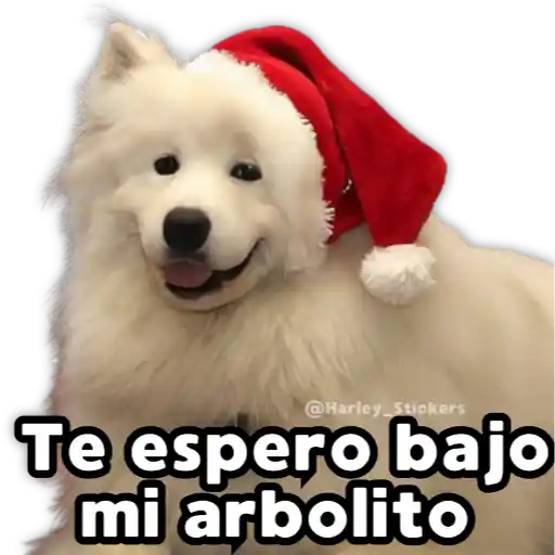 Perritos Navideños 6