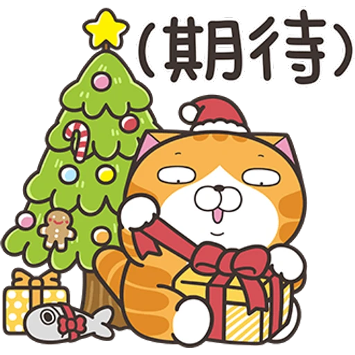 風
(期待)
S
5
