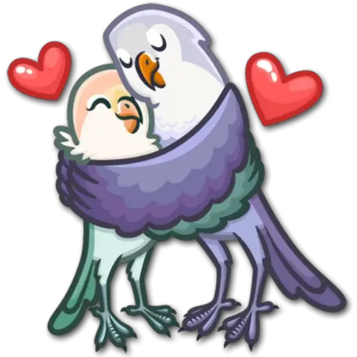 🐦Pajaros Lindos🐦  11