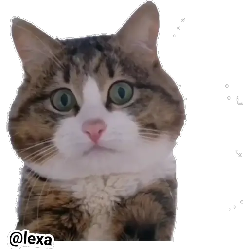 tray-icon