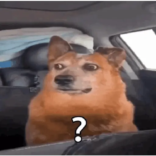 🎢 RANDOM Memes 🕹️😎 10