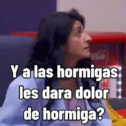 ✨La Casa de los famosos 🇲🇽 18