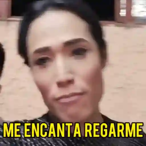 Perdidas y Las de Apelo 13