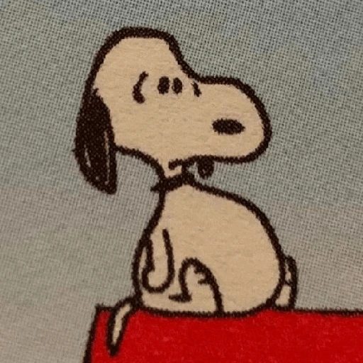 snoopy 19