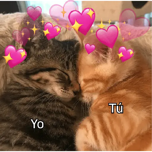 Yo Tú
