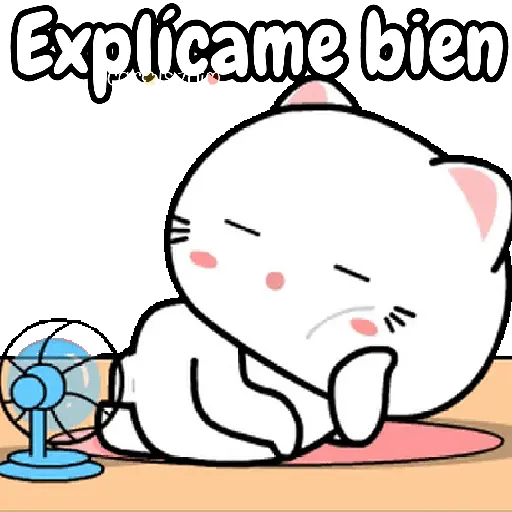 cute cats 🐱🩷🩵🐈 15