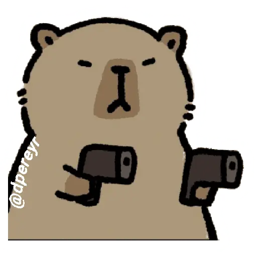 capibara 9