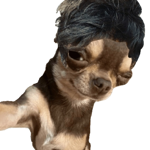 Perrito Milei 8