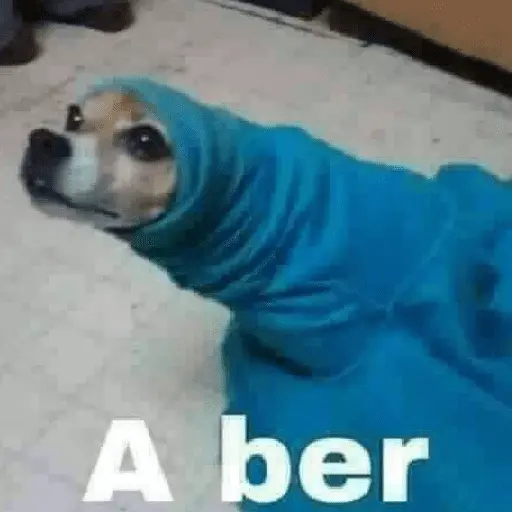 💥Shitpost 52💣 4