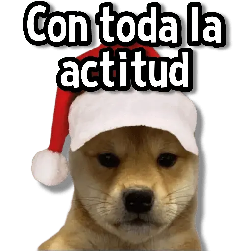 Memes Clásicos 1.0😏💕 12