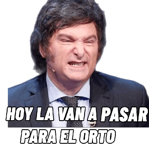 HOY LA VAN A PASAR PARA EL ORTO