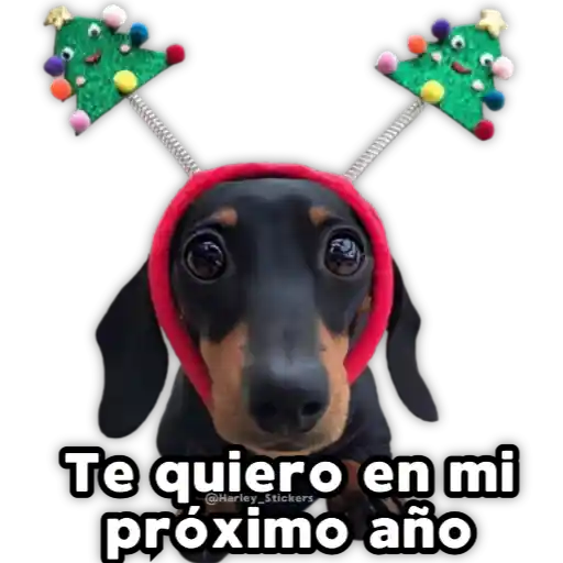 Perritos Navideños 7