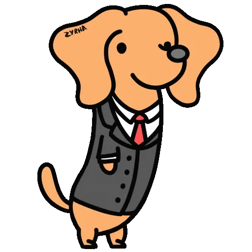 Perro Bachicha 10