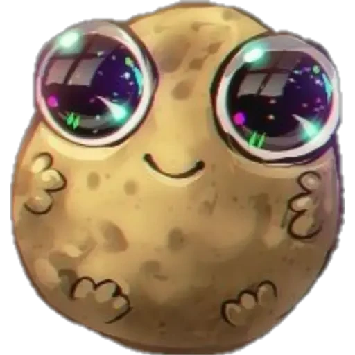 Potato 17