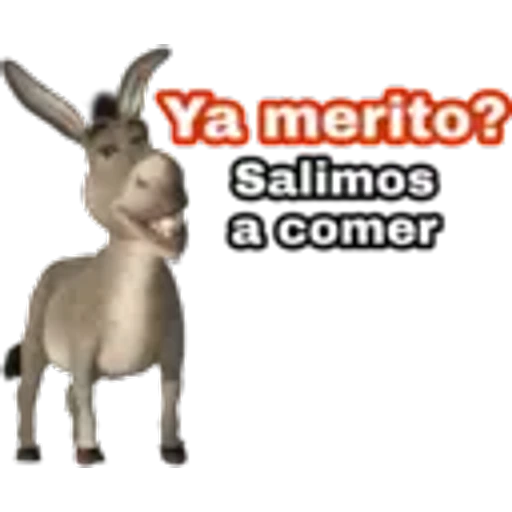4.15 Comida # 26