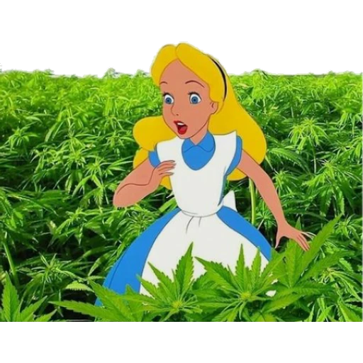 4/20 3