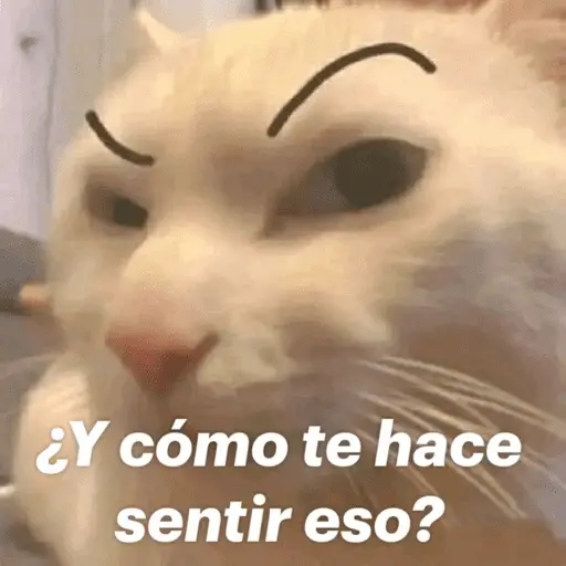 Memes pal chat🤎 15