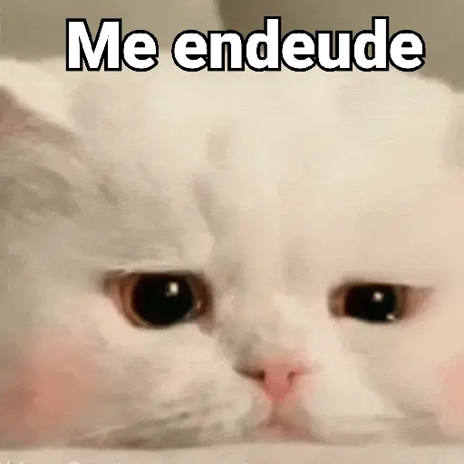 Me endeude