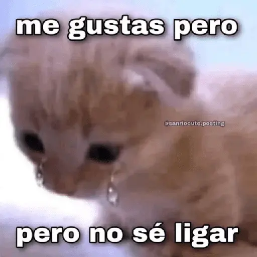 Gatos con frasecitas💬🩷 9