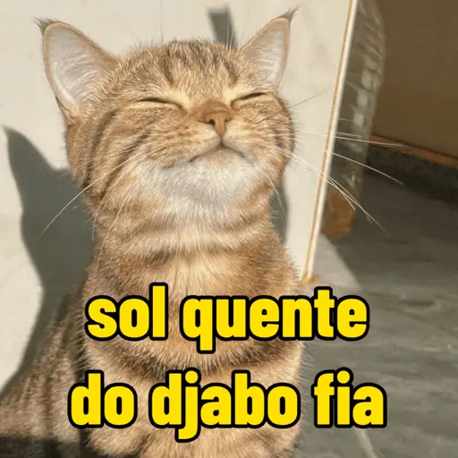 calor do djabo 🥵🌞 2