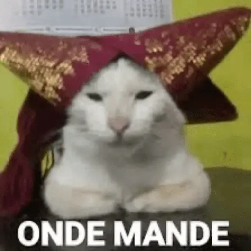 meme kucing 7