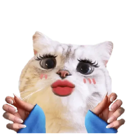 Michis random🐈🐈⬛ 12