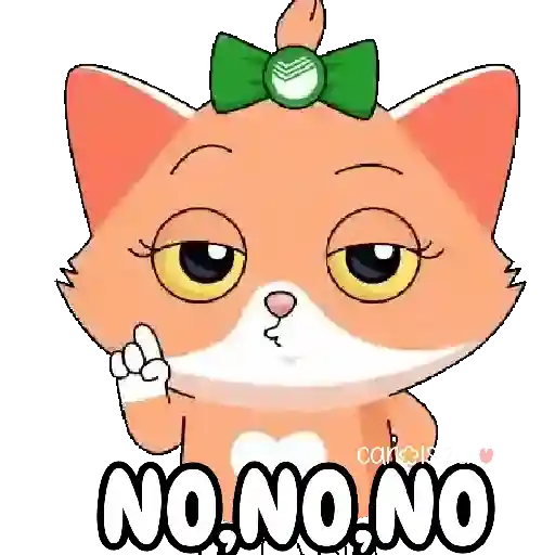 canelo NO.NO.NO